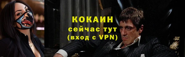 индика Балабаново