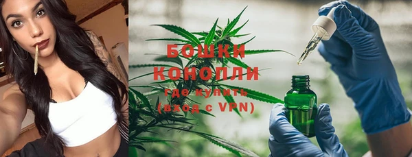 индика Балабаново