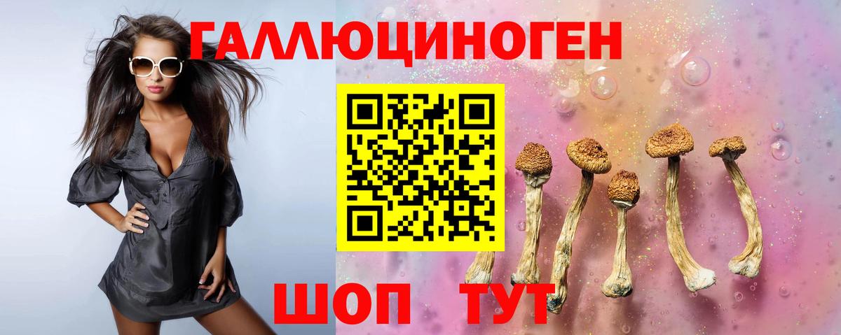 Галлюциногенные грибы прущие грибы  Псилоцибиновые грибы Psilocybine cubensis  Вход с VPN  Балабаново 