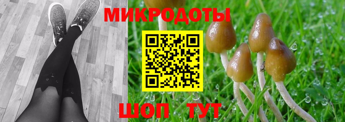 Псилоцибиновые грибы мицелий Балабаново